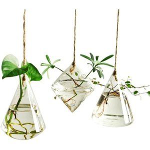 3 Pack Terrarium Container Flower Planter Hanging Glass Hydroponic Plants Decor